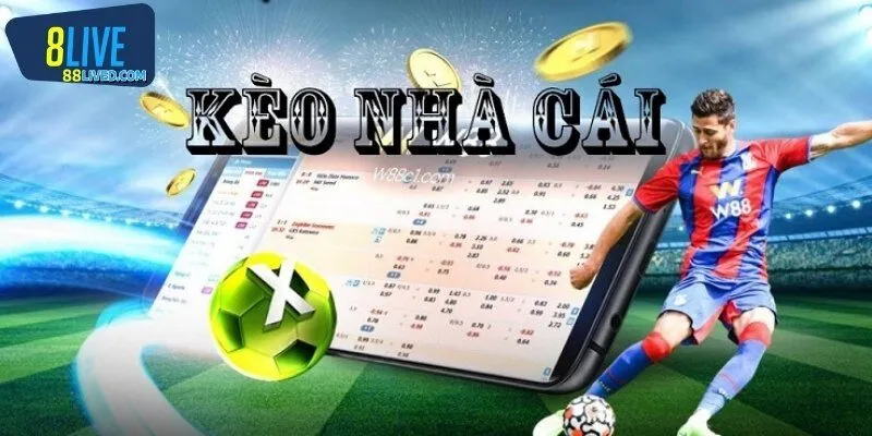 Kinh nghiệm hay nên áp dụng cho kèo nhà cái trực tuyến